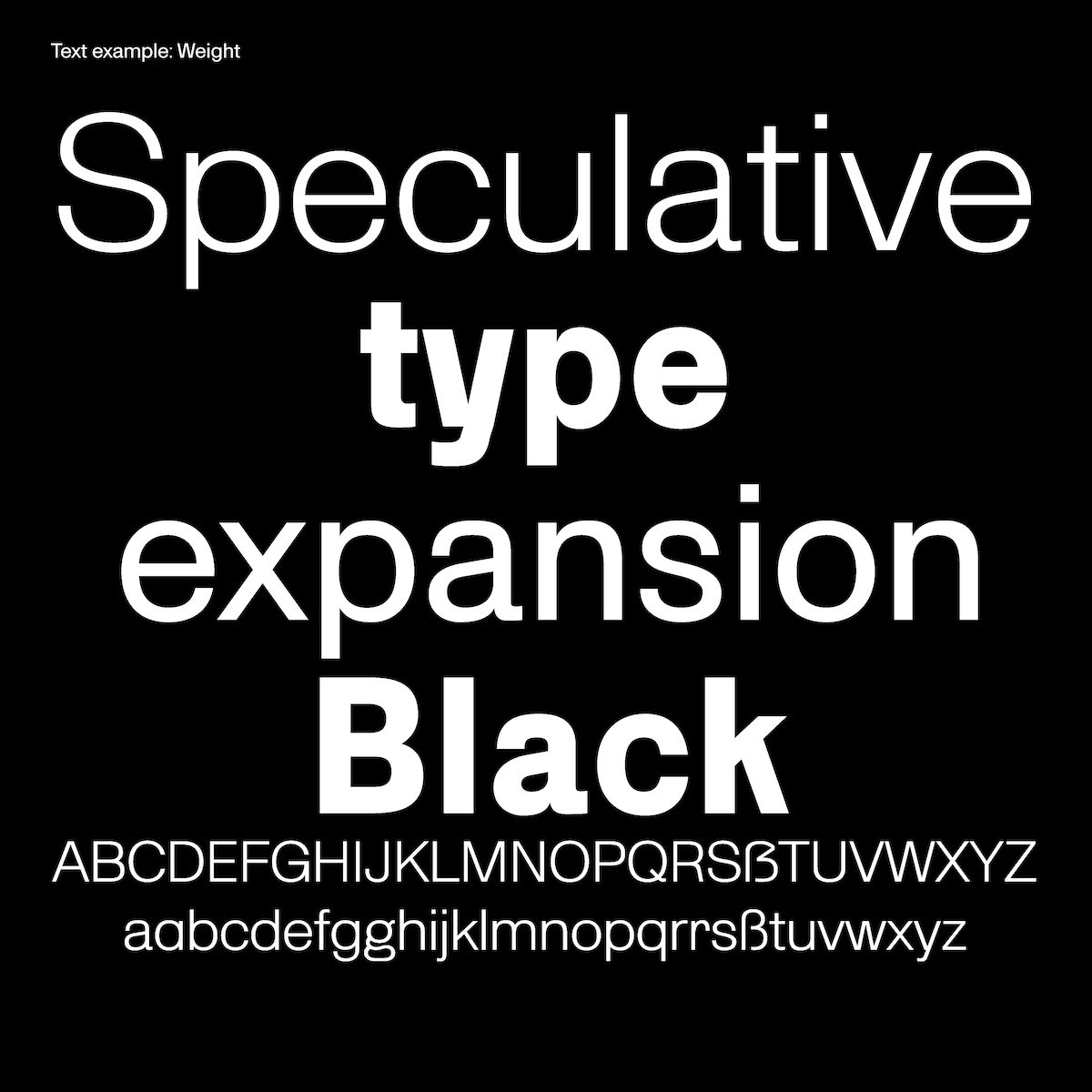 'Bagage' Variable Font 