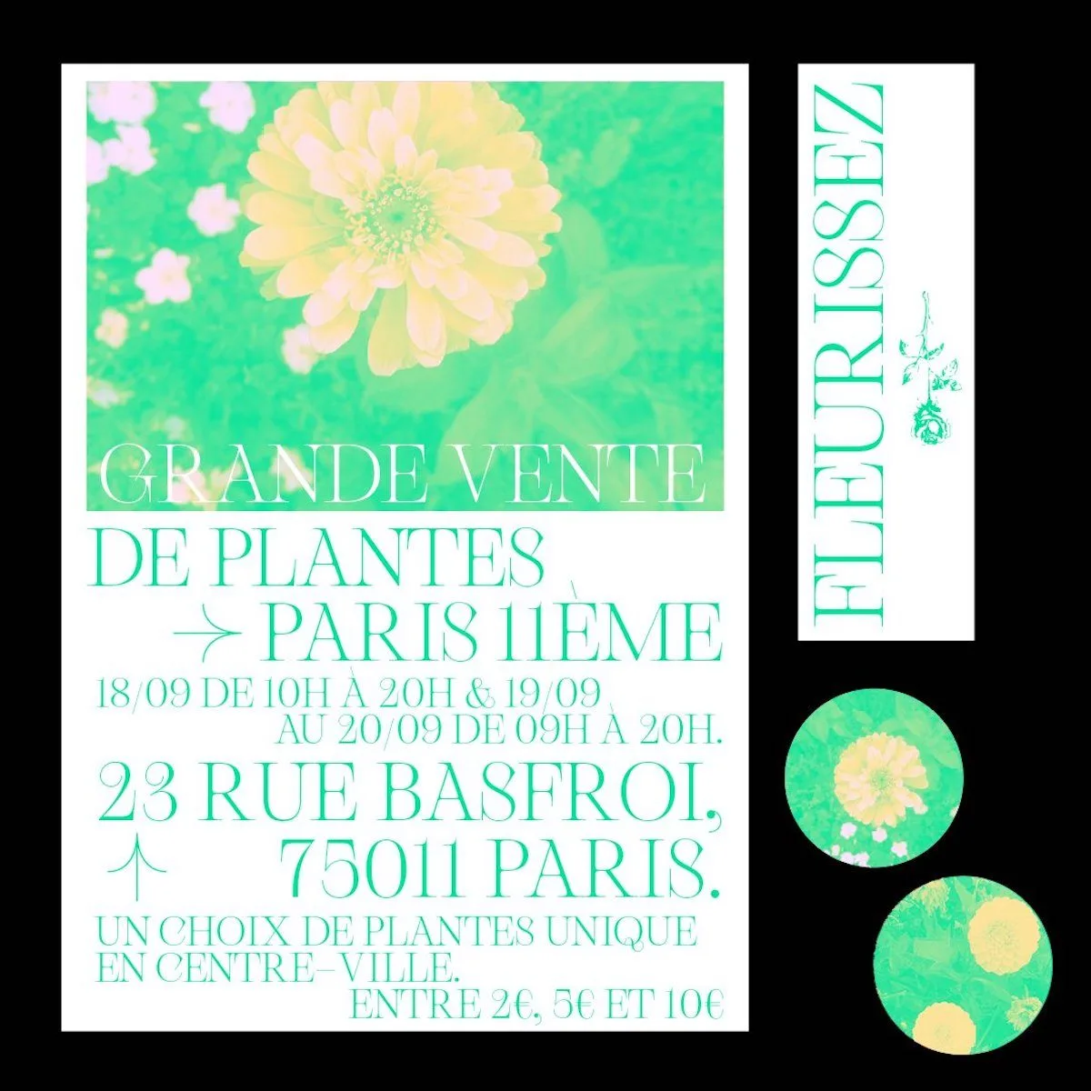 Gallique Light V.2 Updated Features 