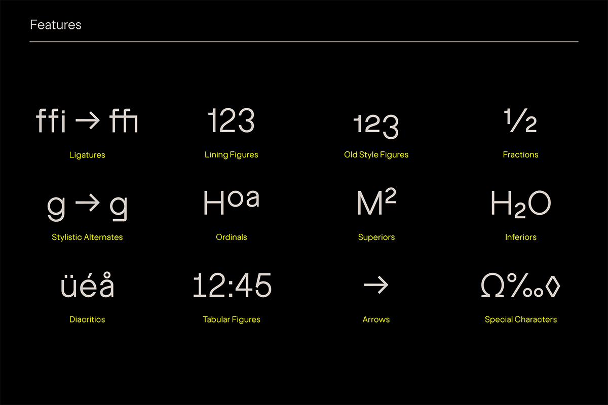 Bairne – a new typeface from Fettle Foundry: OpenType Features 