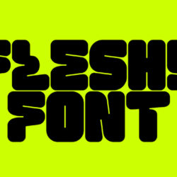 The New Fonts Kicking off 2022 on Type Department