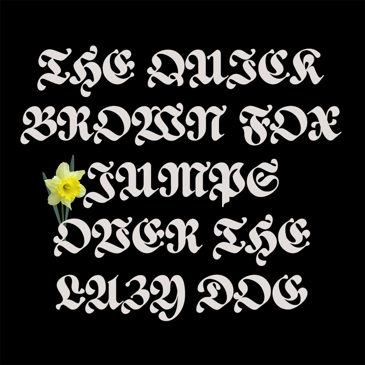 ED Daffodil, a new blackletter-inspired font by Emyself Design, now available on Type Department.