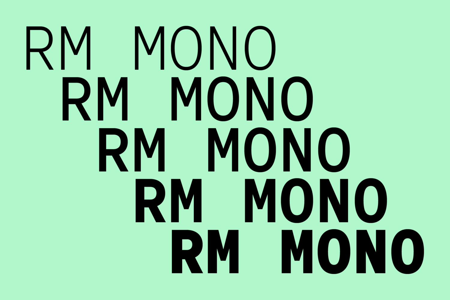 RM MONO Font