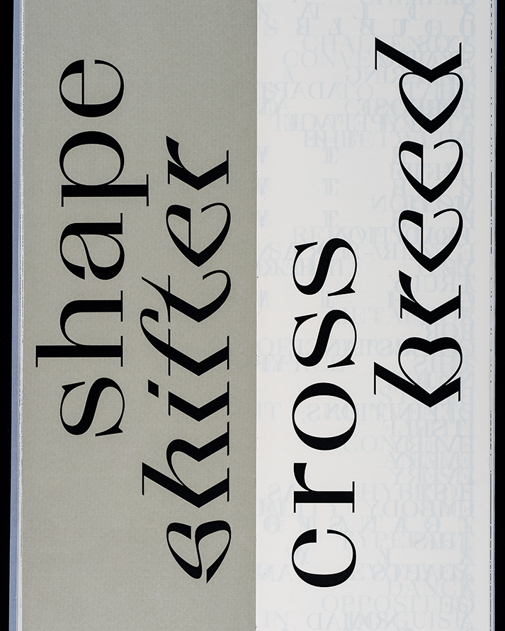 Atlantic Italics Typeface