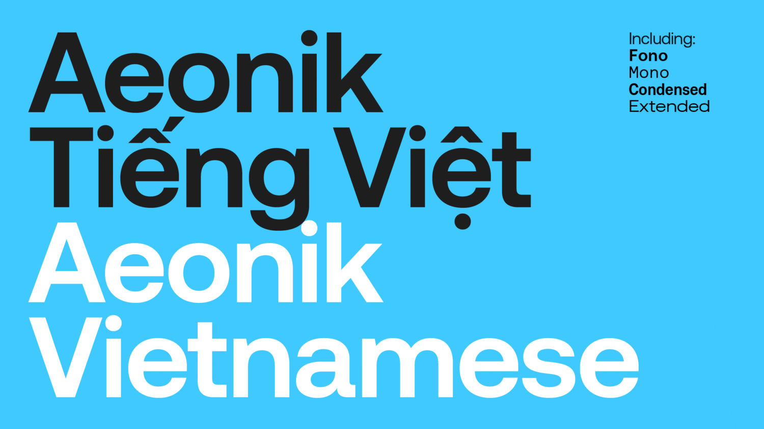 CoType Foundry Aeonik Vietnamese