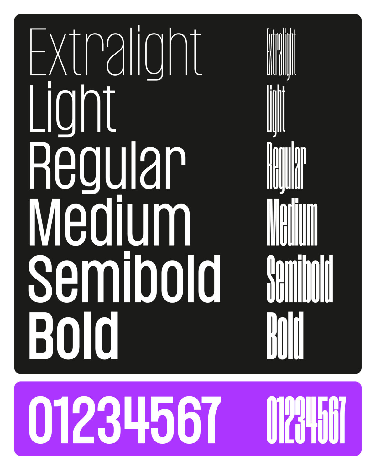 Narrow Type Magnete Sans