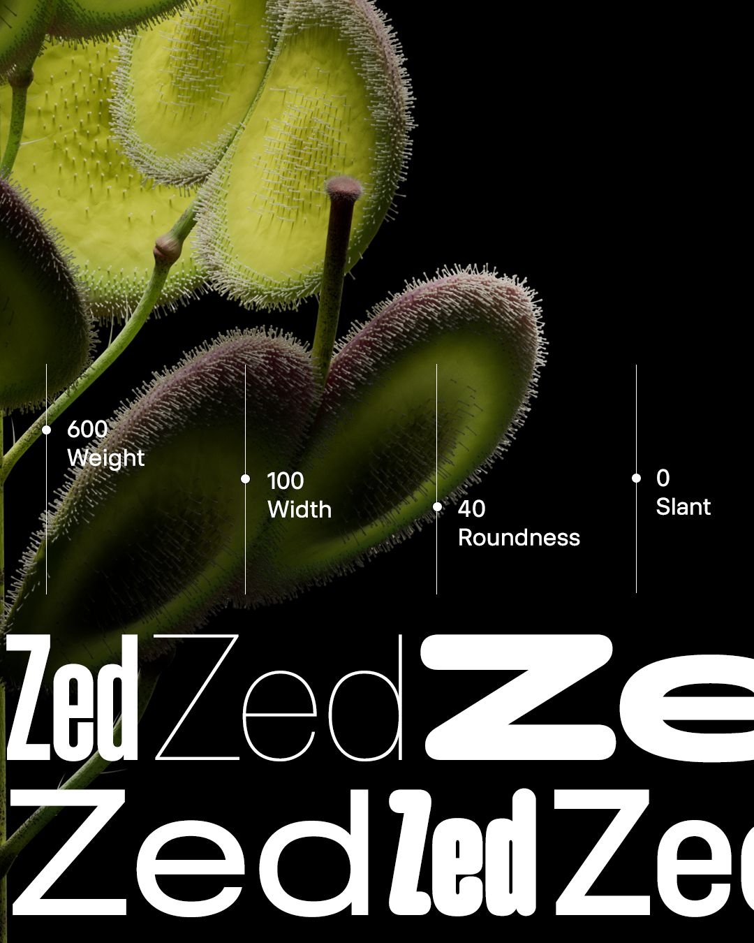 Zed font by Typotheque