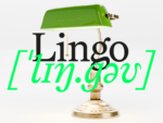 Softdrive Lingo Typeface